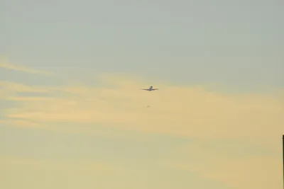 DSC_5685 (Large).JPG